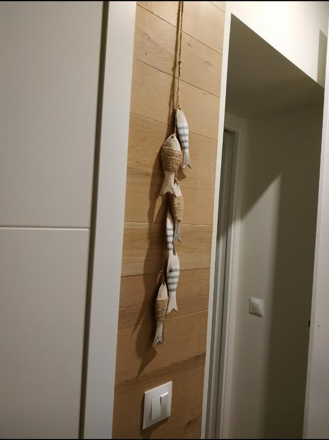 Apartamento - Patio 1812 Cádiz Eksteriør bilde